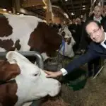 Les fromageries suisses tentent d’entrer le marché français 