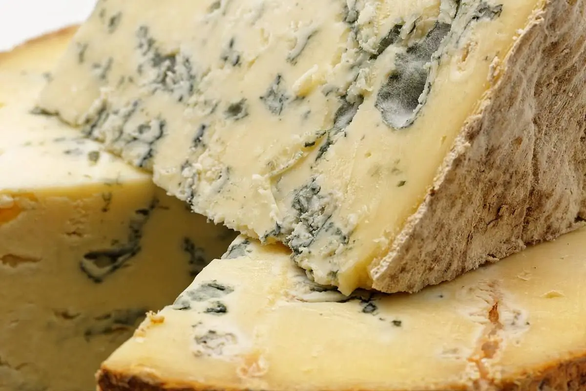 fromages à pâte persillée 