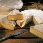 Saint Nectaire : Le fromage Saint Nectaire un fromage de caractère