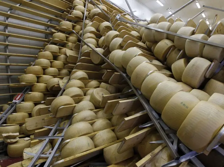 Un fort séisme détruit 300 000 fromages en Italie