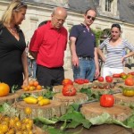 Le festival de Tomate au Château de la Bourdaisière le 8 et le 9 septembre
