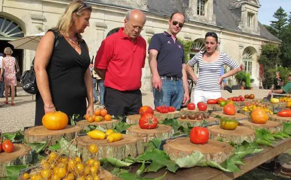 Festival de Tomate au Château de la Bourdaisière