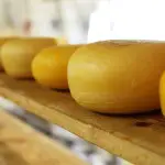Coupe du monde en cuisine : les fromages Suisse