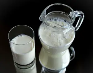le lait n est pas bon pour les adultes ?