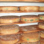 Beaufort : Le fromage Beaufort