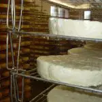 A la découverte des délicieux fromages de Bourgogne