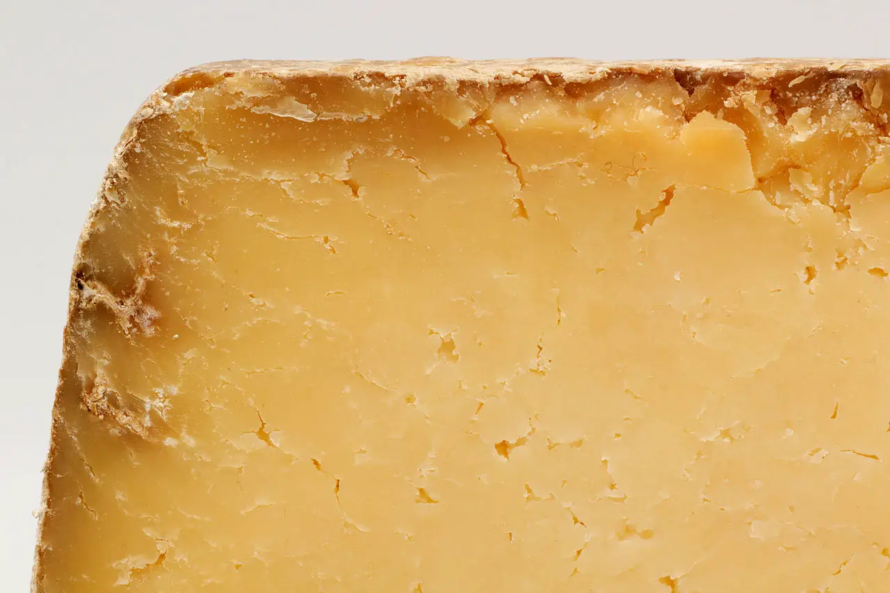 les caractéristiques du fromage Salers
