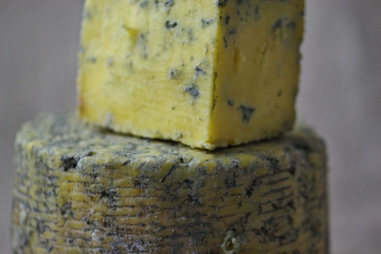 Bleu de Corse : le fromage à la pâte persillé